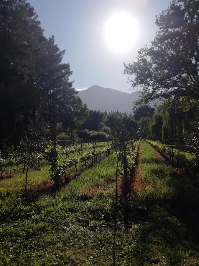 Cabernet Cottage Be Still And Know 弗朗斯胡克 外观 照片
