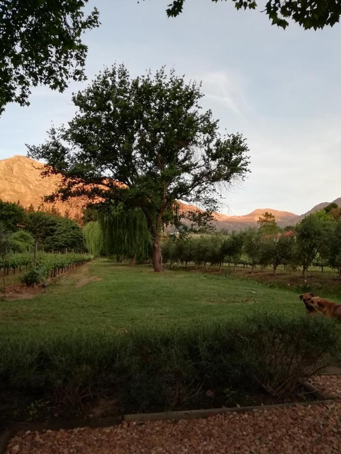 Cabernet Cottage Be Still And Know 弗朗斯胡克 外观 照片